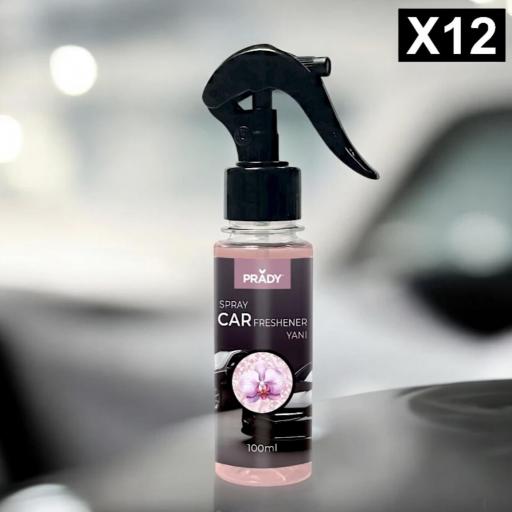 AMBIENTADOR COCHE SPRAY PRADY [2]