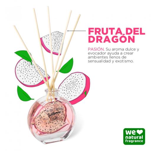 MIKADOS INFUSIÓN CON FRUTAS  100%NATURAL [1]