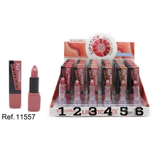 BARRA DE LABIOS LIPSTICK FIS-Leticia well