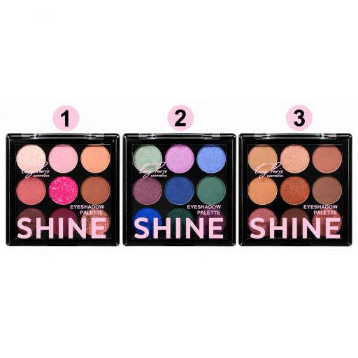 PALETAS DE SOMBRAS SHINE