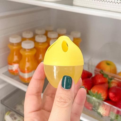 ABSORBE OLORES NEVERA LIMÓN  [1]