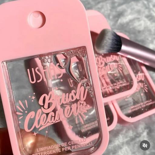 SPRAY LIMPIADOR DE BROCHAS