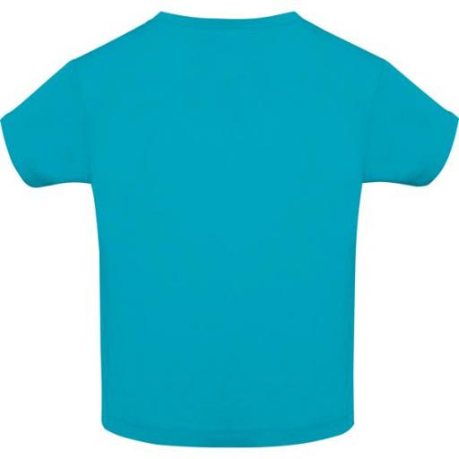Camiseta Roly Baby Turquesa 12 [1]