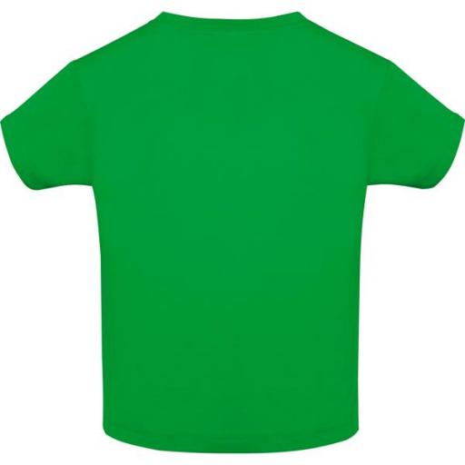 Camiseta Roly Baby Verde Grass [1]