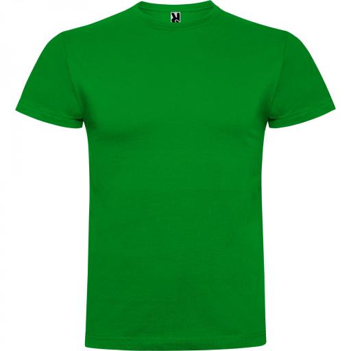 Camiseta Roly Braco Verde Grass 83