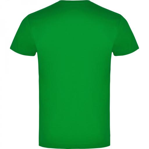 Camiseta Roly Braco Verde Grass 83 [1]