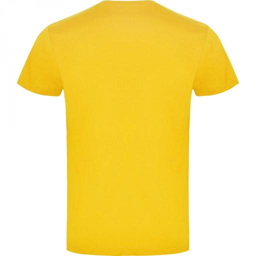 Camiseta Roly Braco Amarillo Golden 96 [1]