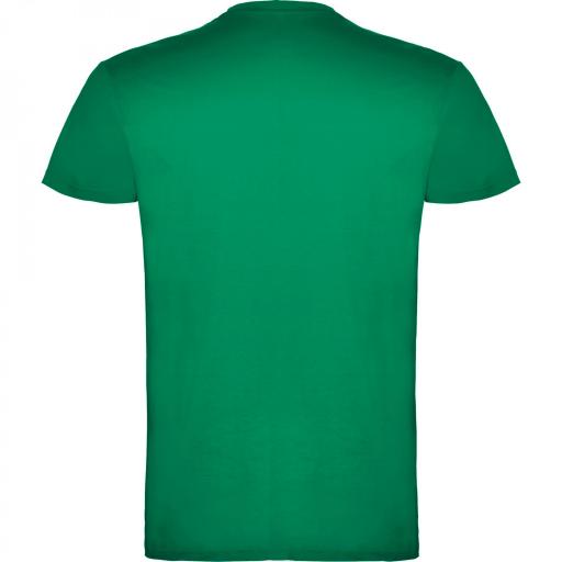 Camiseta Roly Beagle Verde Kelly 20 [1]