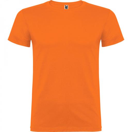 Camiseta Roly Beagle Verde Naranja 31