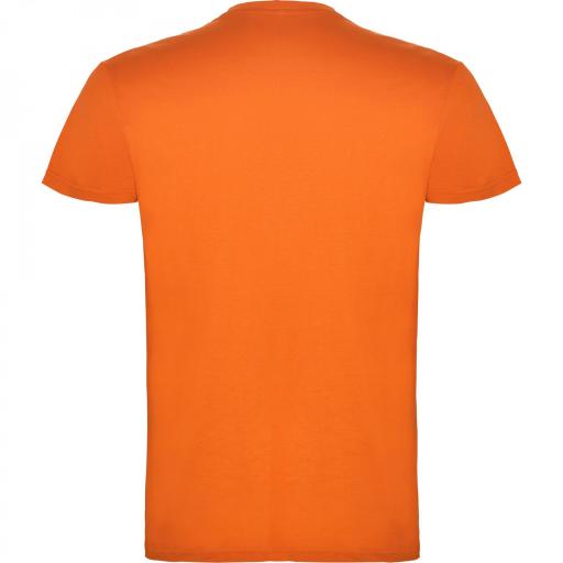 Camiseta Roly Beagle Verde Naranja 31 [1]