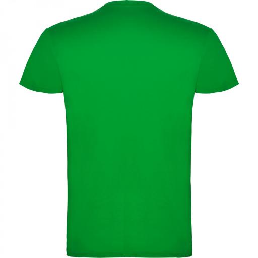 Camiseta Roly Beagle Verde Grass 83 [1]