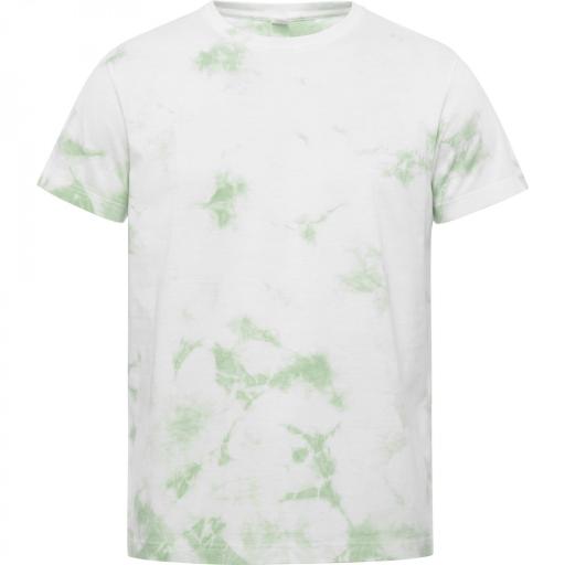 Camiseta Roly Joplin Verde Mist 264