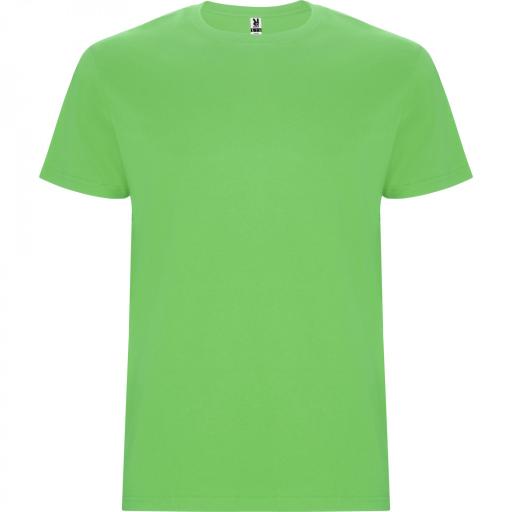 Camiseta Roly Stafford Verde Oasis 114 [0]