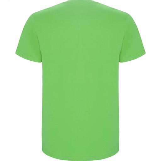 Camiseta Roly Stafford Verde Oasis 114 [1]