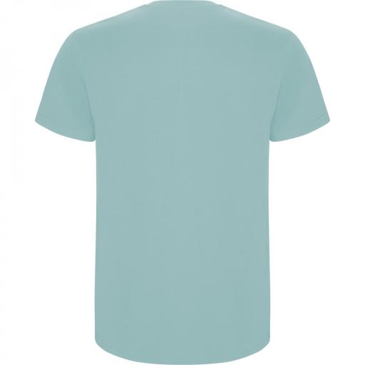 Camiseta Roly Stafford Azul Lavado 126 [1]