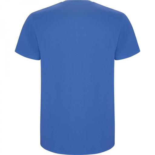 Camiseta Roly Stafford Azul Riviera 261 [1]