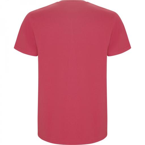 Camiseta Roly Stafford Rojo Crisantelmo 262 [1]