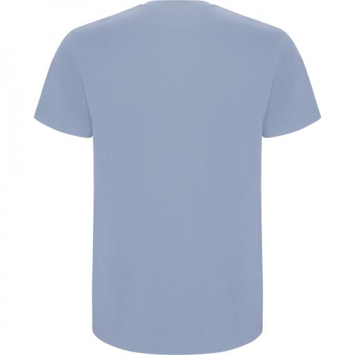 Camiseta Roly Stafford Azul Zen 263 [1]