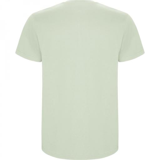 Camiseta Roly Stafford Verde Mist 264 [1]
