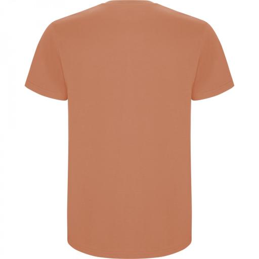 Camiseta Roly Stafford Naranja Greek 265 [1]