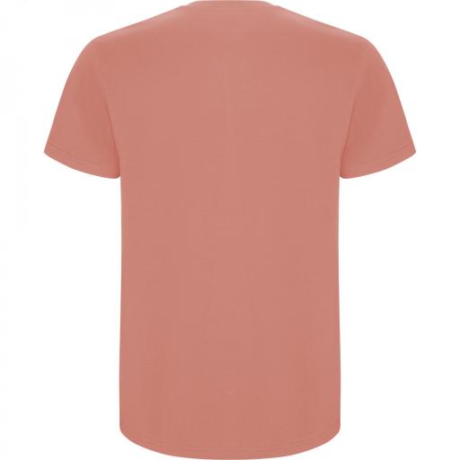 Camiseta Roly Stafford Naranja Clay 266 [1]