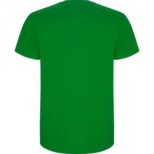 Camiseta Roly Stafford Verde Grass 83 [1]