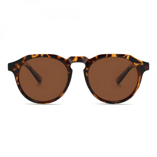 TURIN - POLARIZED BROWN