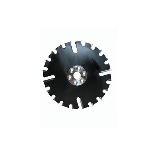 Disco para limpiadoras CNC  - ROTOX - [0]