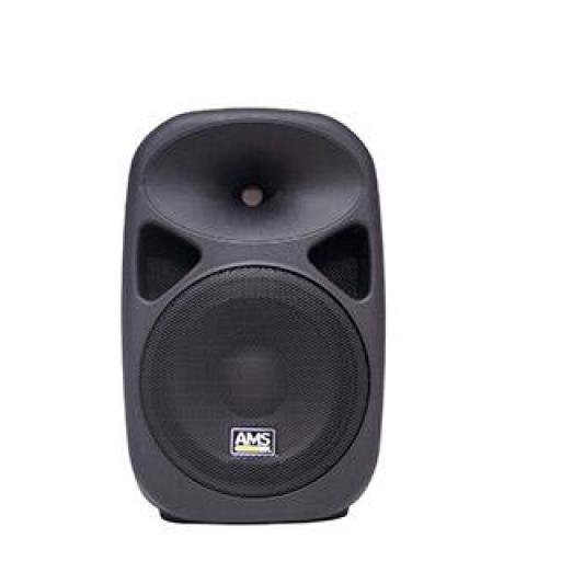 ALTAVOZ AUTOAMPLIFICADO ASP 210 A MKII [0]