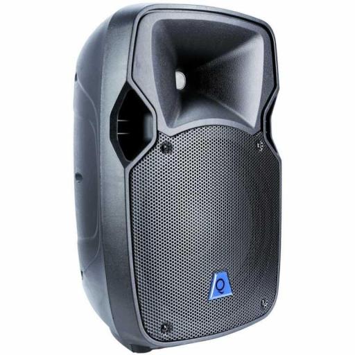 ALTAVOZ AUTOAMPLIFICADO 250W - QLS-10S [1]