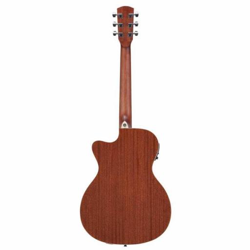 GUITARRA ACUSTICA [1]