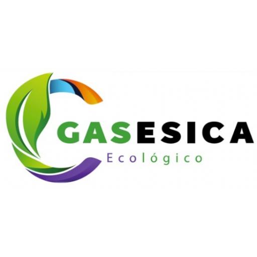 Logo de GASESICA