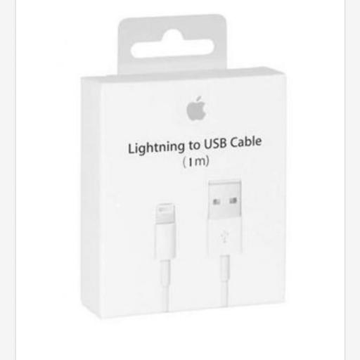 Cable Apple Lightning a USB 1 metro 