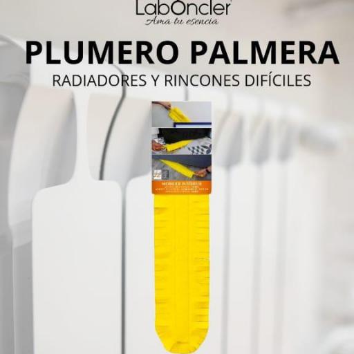 Plumero palmera 