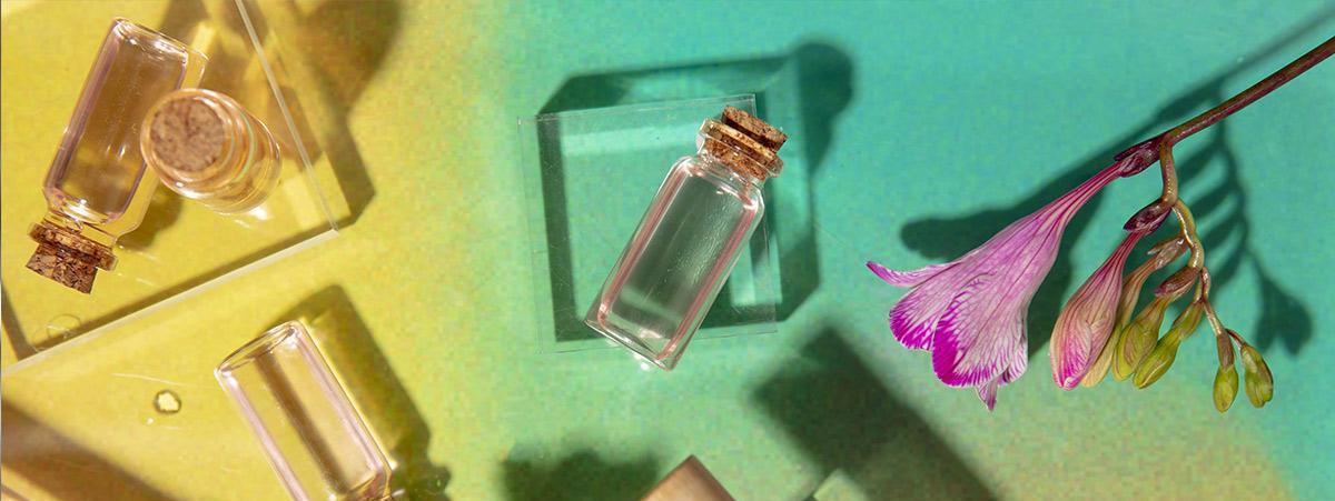 Tipos de perfume y familias olfativas explicados