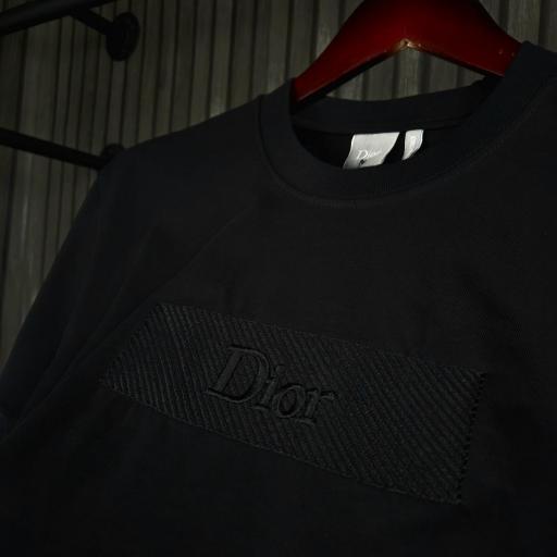 CAMISETA DIOR   (09) [1]