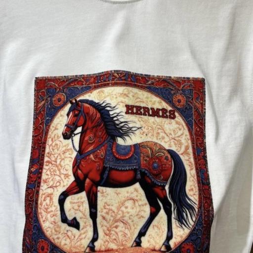 CAMISETA HERM€S [1]