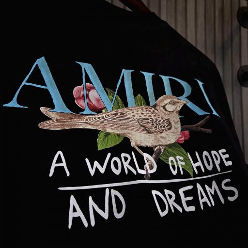 CAMISETA AMIRI (BIRD) [1]