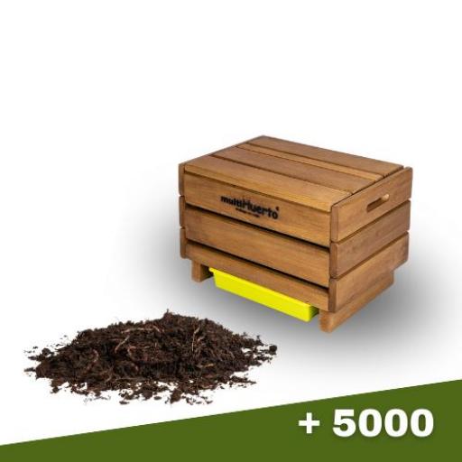 Vermicompostador de madera Frutero sencillo + 500 lombrices
