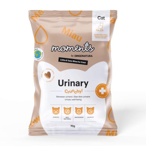 Moments Cat Urinary