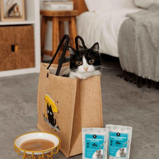 Caldo de espinas de pescado nórdico para Gato [1]