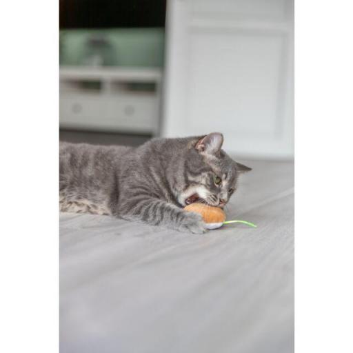 Helado y Magdalena Juguete para gato [2]