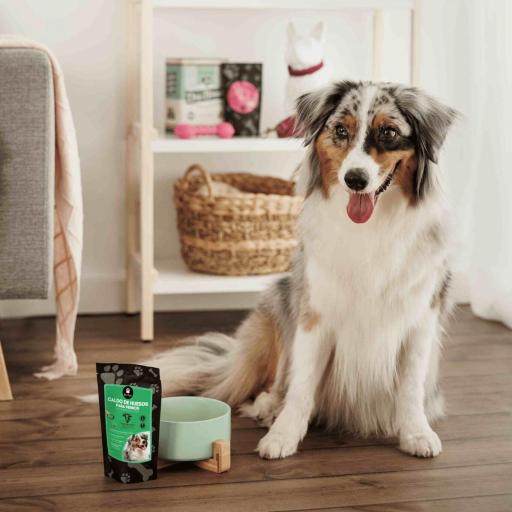 Caldo de huesos de ternera de pasto ecológico para perro [1]