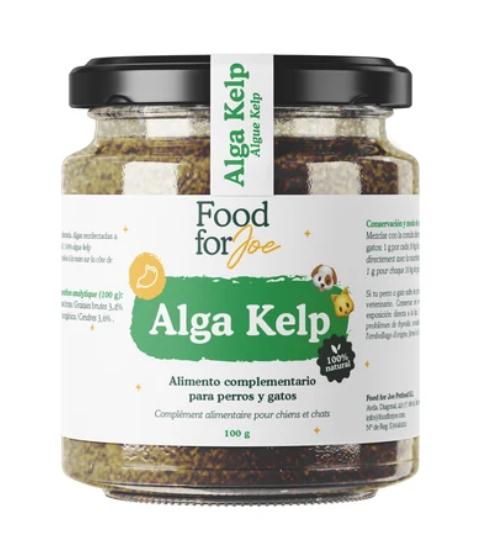 Alga Kelp en polvo