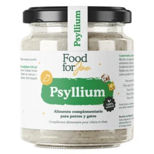 Cáscara de psyllium en polvo