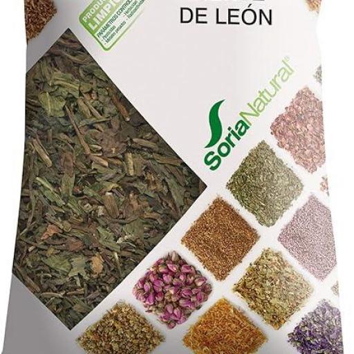 SORIA NATURAL DIENTE DE LEON PLANTA 