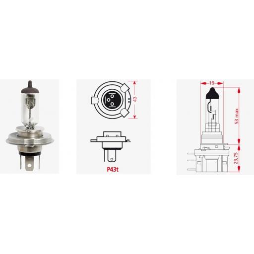 Lámpara H4 12V 55W datacol [1]