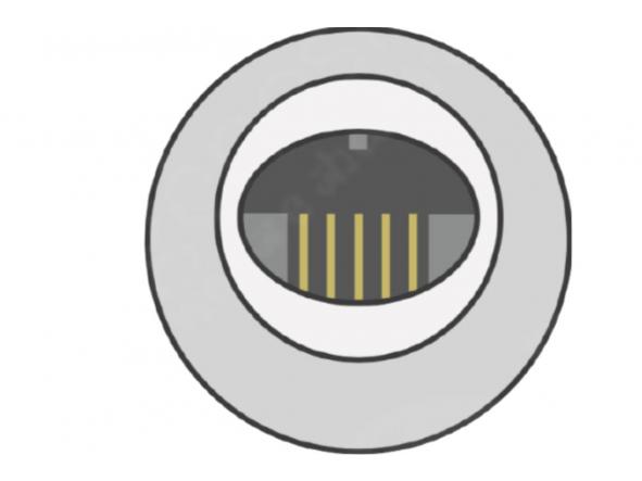 IBP Adaptador Edwards comp. Dräger / Siemens [1]