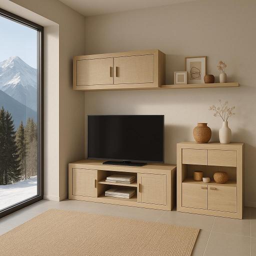 Mueble salón  [2]