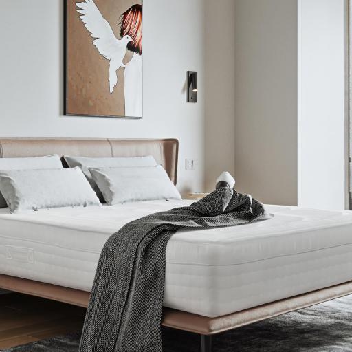 Colchon nanomuelles [2]